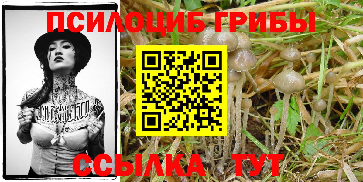 Галлюциногенные грибы мухоморы Лесосибирск